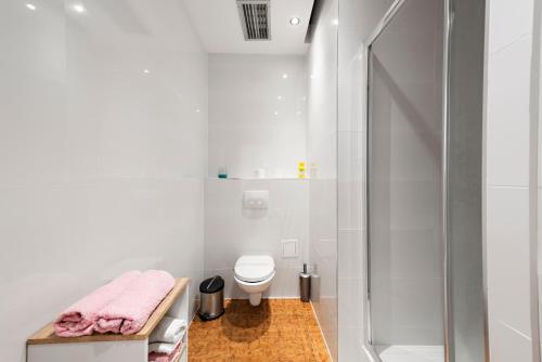 a bathroom with a shower and a toilet at APARTMENTS ANA in Umljanović