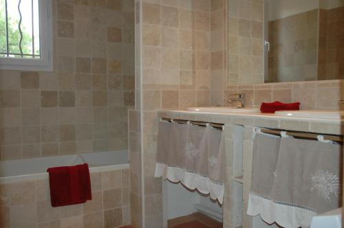 ein Badezimmer mit einem Waschbecken, einer Badewanne und einem Spiegel in der Unterkunft La Maison de Campagne in Carcès
