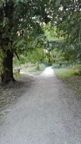 a dirt road with a tree on the side at Vittadinisette in Pavia
