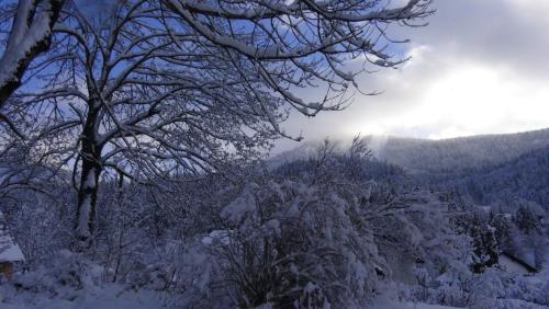 a view of a snow covered forest with trees at Haus-am-Sonnenweg in Lackenhof