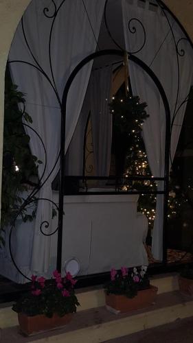 Κήπος έξω από το Villa Orsini