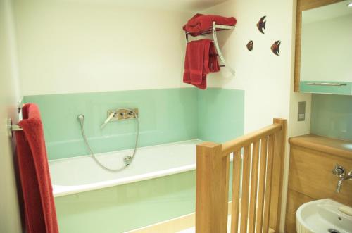 W łazience znajduje się wanna z prysznicem. w obiekcie No1 The Pottery, Dartmouth w mieście Dartmouth
