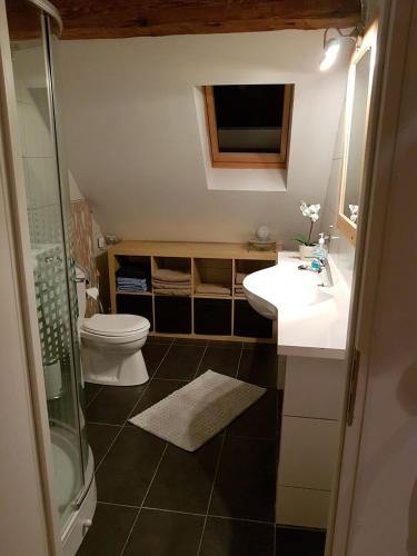 a bathroom with a toilet and a sink and a shower at Klementina in Vrbovsko