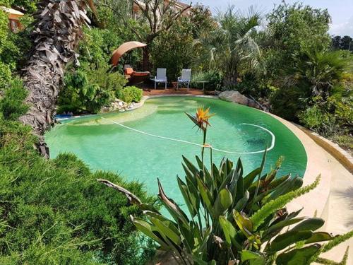 a swimming pool with green water in a yard at LES PALMIERS TOULON in Toulon