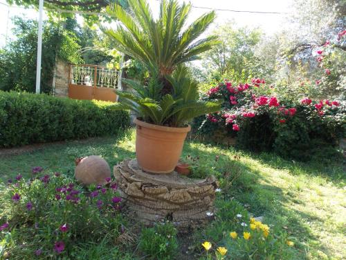 a potted plant sitting on a stump in a garden at Art Flowers and Culture in Mystras