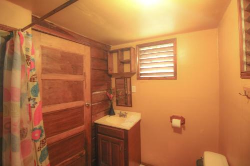 a bathroom with a sink and a toilet and a window at Cohune Palms River Cabanas in Bullet Tree Falls
