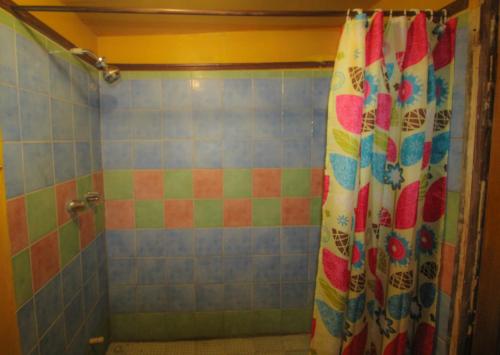 a shower with a shower curtain in a bathroom at Cohune Palms River Cabanas in Bullet Tree Falls