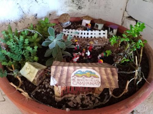 a model of a house in a pot with plants at Hotel Cabañas El Rincón de las Campanas in Nobsa