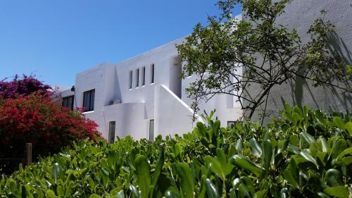 a white building with a hedge in front of it at Posada de los Pajaros in Punta del Este