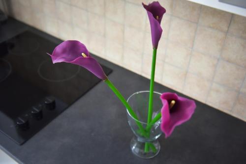 two purple flowers in a glass vase on a counter at Davcom Studio in Făgăraş