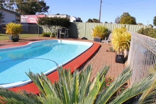 a large swimming pool in a yard with plants at cross roads motel in Cobar