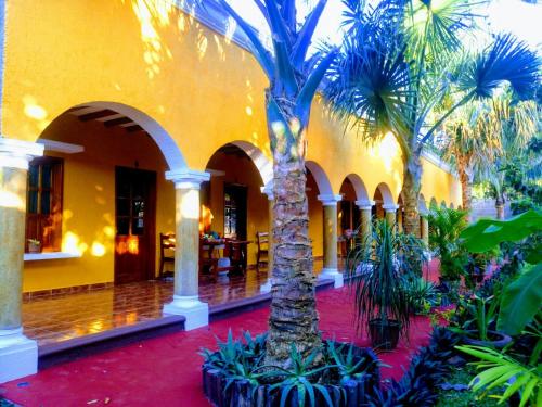 a courtyard with palm trees in a building at Casa Palagui Colonial in Valladolid