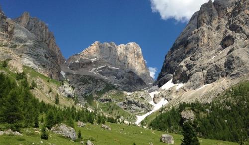 a mountain with a green field in front of it at Mini Viale Farra in Feltre