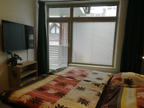 a bedroom with a bed and a large window at Rodinný Apartmán Harrachov 606 in Harrachov