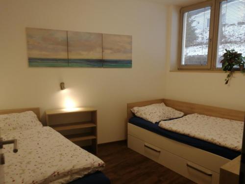 - une chambre avec 2 lits et une fenêtre dans l'établissement Rodinný Apartmán Harrachov 606, à Harrachov
