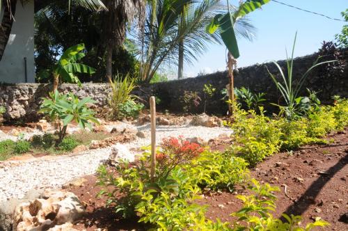a garden with flowers and plants in front of a house at Maisha Marefu Apartments in Kiwengwa