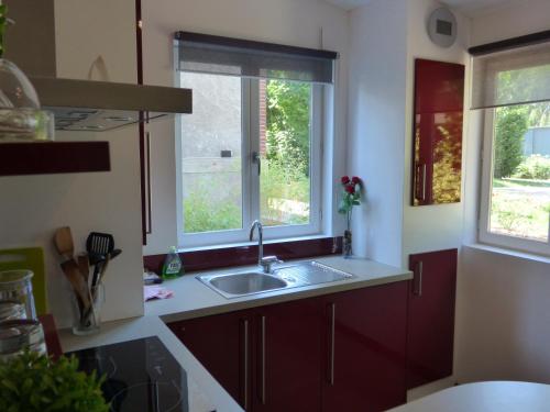 een keuken met een wastafel en 2 ramen bij Gîte de Preuilly in Auxerre