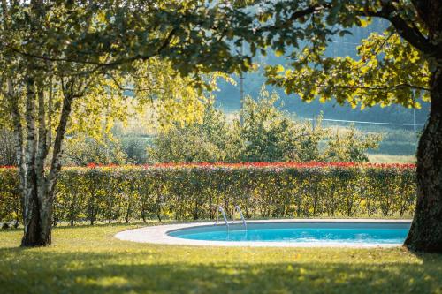 una pequeña piscina en un parque con árboles en Buccara B&B Due Del Monte, en Cormòns