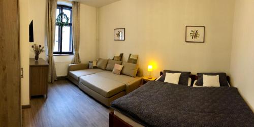 - un salon avec un canapé et un lit dans l'établissement YELLOW STREET APARTMENT, à Rokytnice nad Jizerou