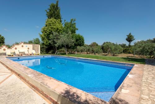 a large swimming pool in a yard with trees at Hacienda Los Olivos in Ronda