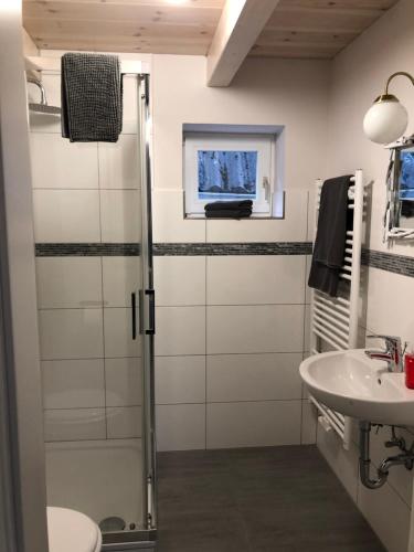 Kylpyhuone majoituspaikassa Netzschuppen