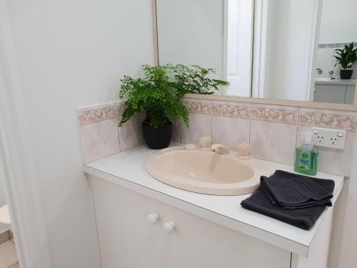 Un baño de SAN Mateo