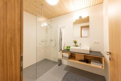a bathroom with a sink and a mirror at Wiesenhof Rusch in Alberschwende
