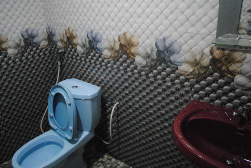 a bathroom with a toilet and a wall with bugs at Singh Brothers in Adams Peak