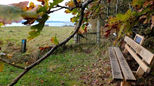 a wooden bench sitting in the grass near a fence at Hvalpsund Færgekro in Hvalpsund