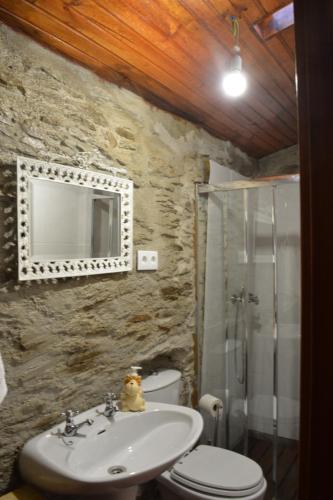 a bathroom with a sink and a toilet and a mirror at Casa da Vinha em Tabuaço - Douro in Tabuaço