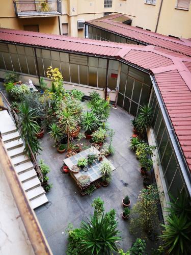 an overhead view of a courtyard with plants on a building at Alloggio Galli in Cremona