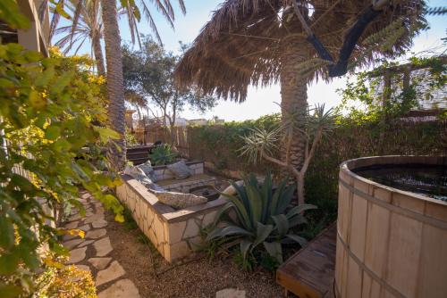Ein Garten an der Unterkunft Desert Home