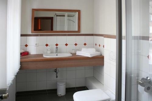 a bathroom with a sink and a mirror at Löwen-Post in Alpirsbach