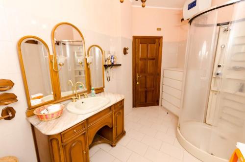 a bathroom with a sink and a shower and a mirror at B&B La Volpara in Trasacco
