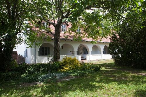 a large white house with a tree in the yard at Grand Balaton House in Kővágóörs