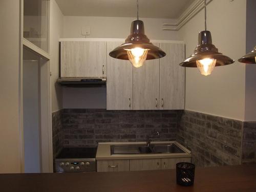 cocina con 3 luces, fregadero y encimera en Arena Apartman en Belgrado