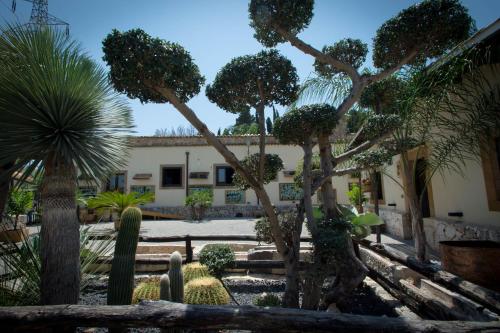 a garden of cacti and plants in front of a building at Agriturismo Papyrus in Siracusa