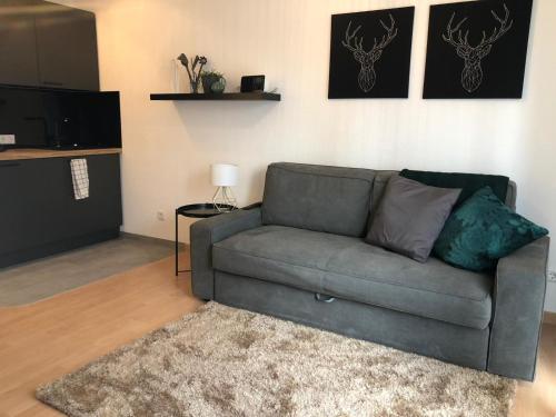 a living room with a couch and a television at Ferienwohnung Mila am Bodensee nähe Messe in Friedrichshafen