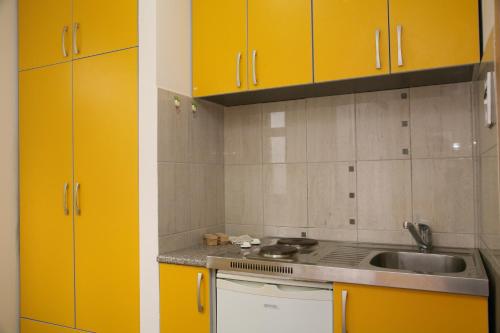 Una cocina o zona de cocina en Apartments Villa Petranović
