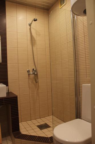 ハープサルにあるNiine Apartmentのバスルーム(シャワーブース、トイレ付)