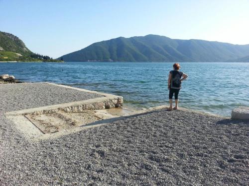 アパートメントの近くで見られる自然の景観