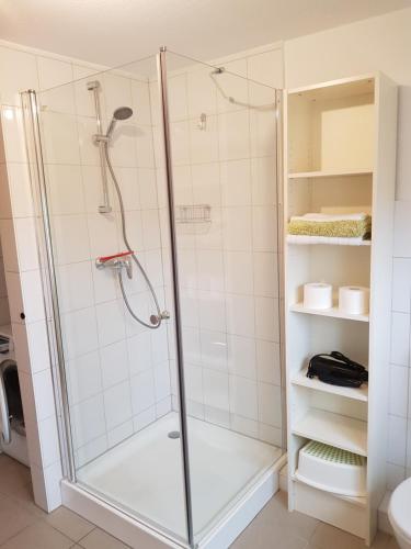 a shower with a glass door in a bathroom at Nordseeblick Ferienhaus in Wobbenbüll