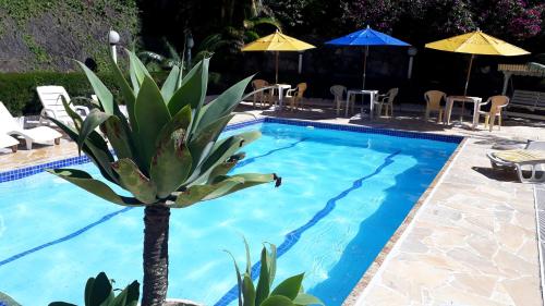 a large blue swimming pool with a plant next to it at Morada Recanto das Flores in Miguel Pereira