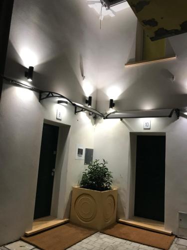 a room with a potted plant and lights on the wall at Bed & Breakfast Case Osti in Castel Maggiore