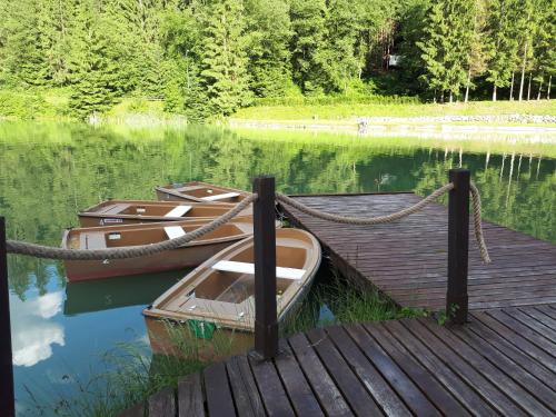 two boats tied to a dock on a lake at Hrabovo Renata 1 in Ružomberok