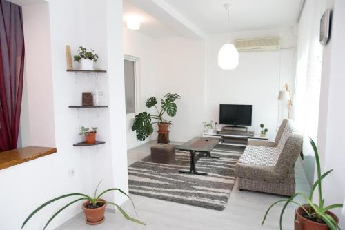 uma sala de estar com um sofá e uma televisão em Kolev Apartments - Two Bedroom Cozy Central Apartment em Skopje