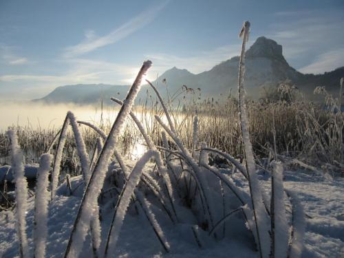 a field covered in snow with a mountain in the background at Pilznerhof in Strobl