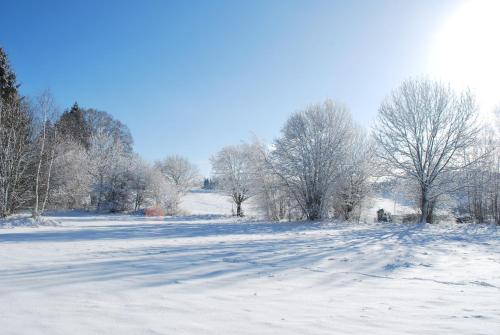 a snow covered field with trees in the distance at Pokojíky na Větrné in Malšín