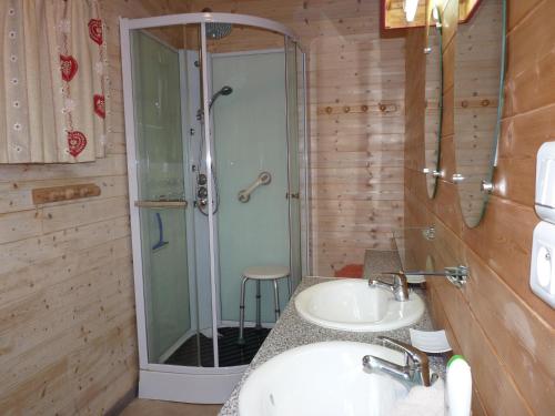 a bathroom with a shower and a sink and a sink at La Maison Bel'Air in Gérardmer