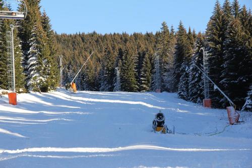 a person riding a snowboard down a snow covered slope at Kopaonik011 Konaci&WoodSide Apartments in Kopaonik